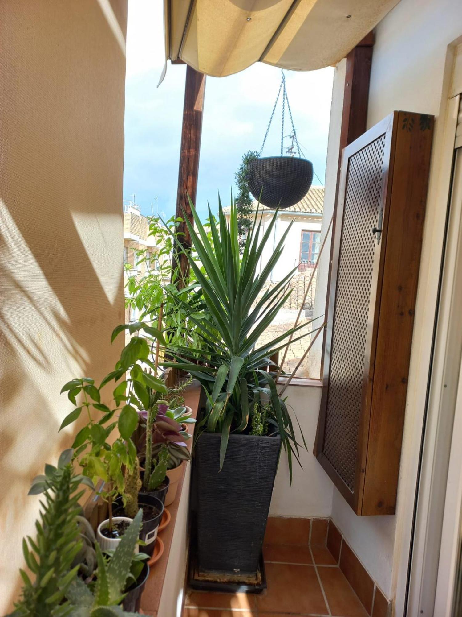 Ferienwohnung Atico Exclusivo En El Centro De Granada Exterior foto